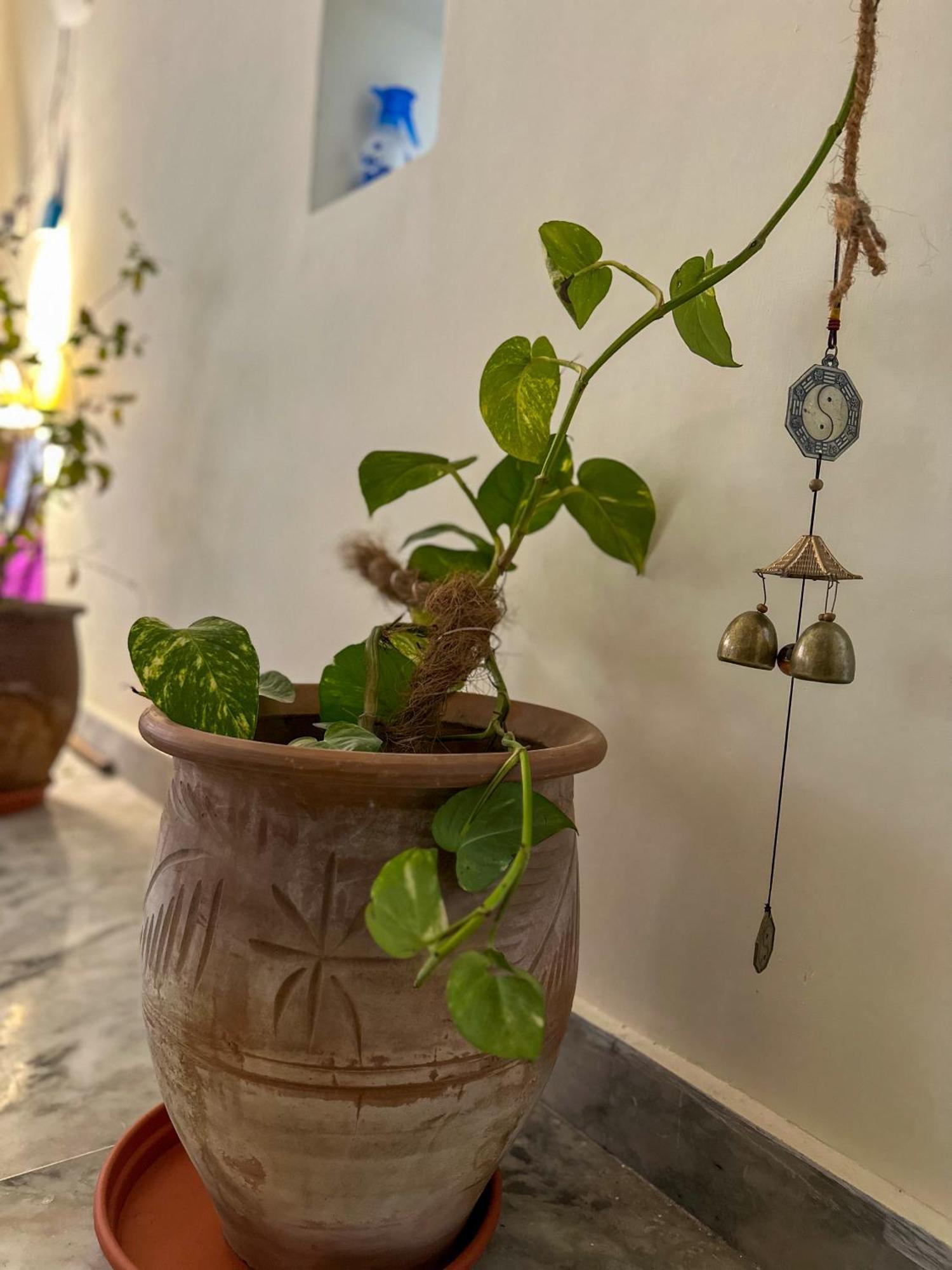 Leela Hatha Rishikesh Luaran gambar