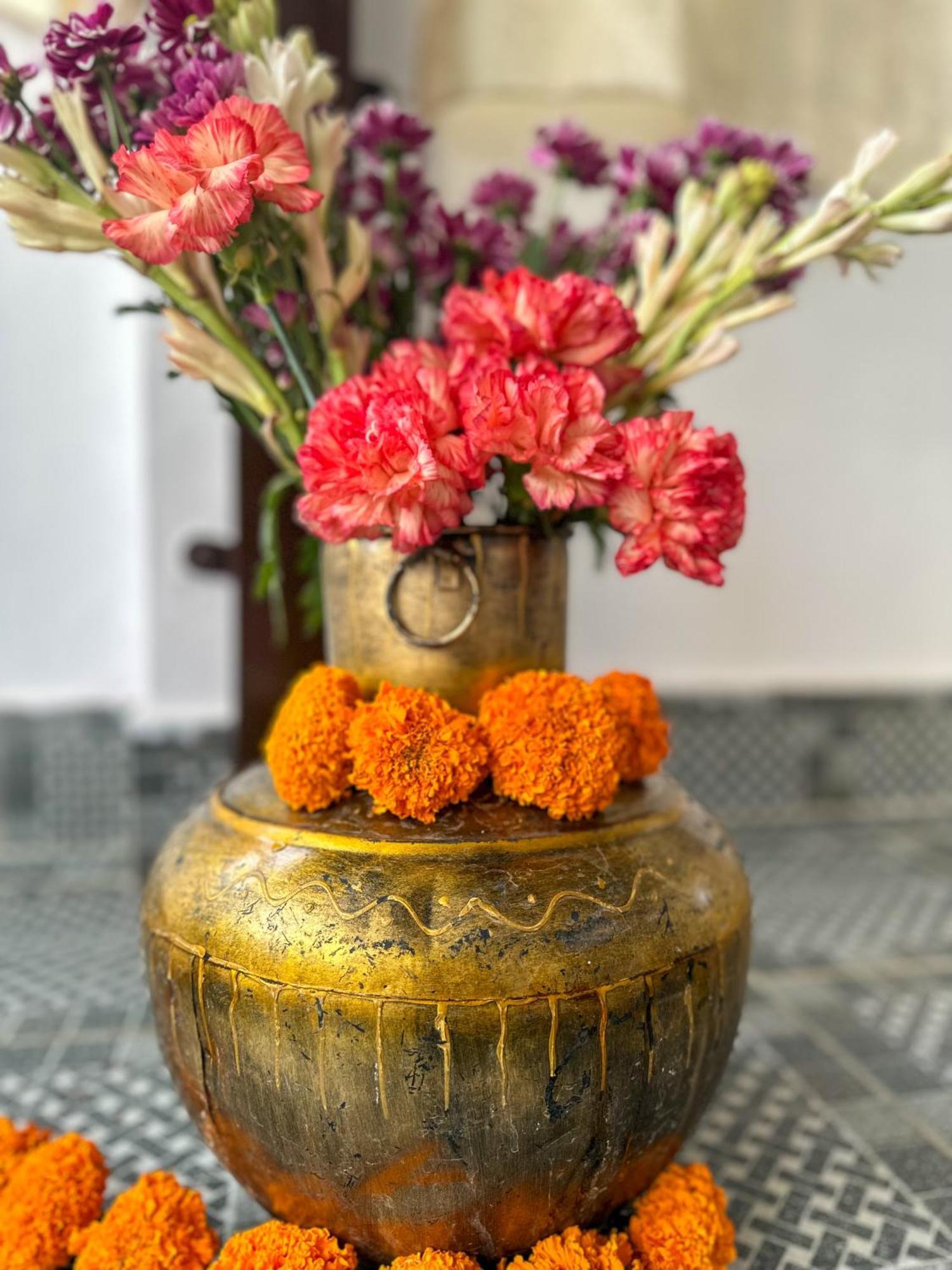 Leela Hatha Rishikesh Luaran gambar
